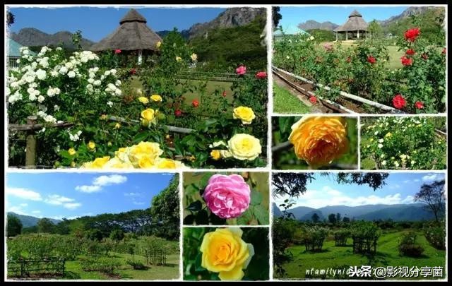 男女主双商在线颜值靠谱，这几部剧情合理的泰剧看过的人直呼过瘾