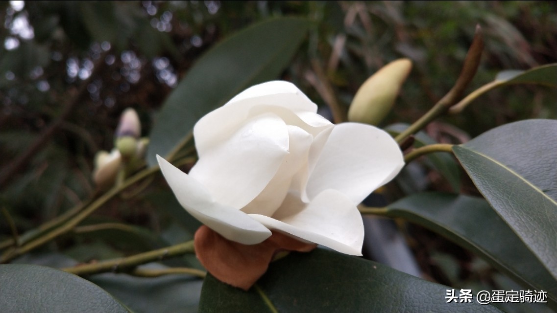 象溪乡菜溪岩