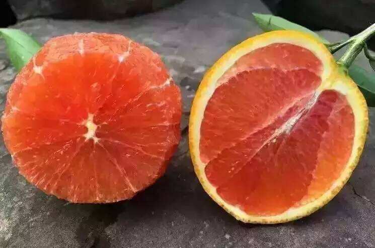 女人吃血橙的好处（真正有帮助的食物很多人不爱吃）