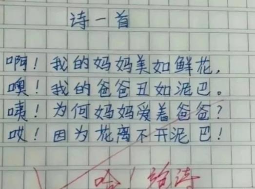 小学作文《臭美老妈》网评：像极了我老妈，孩子的观察力如何培养