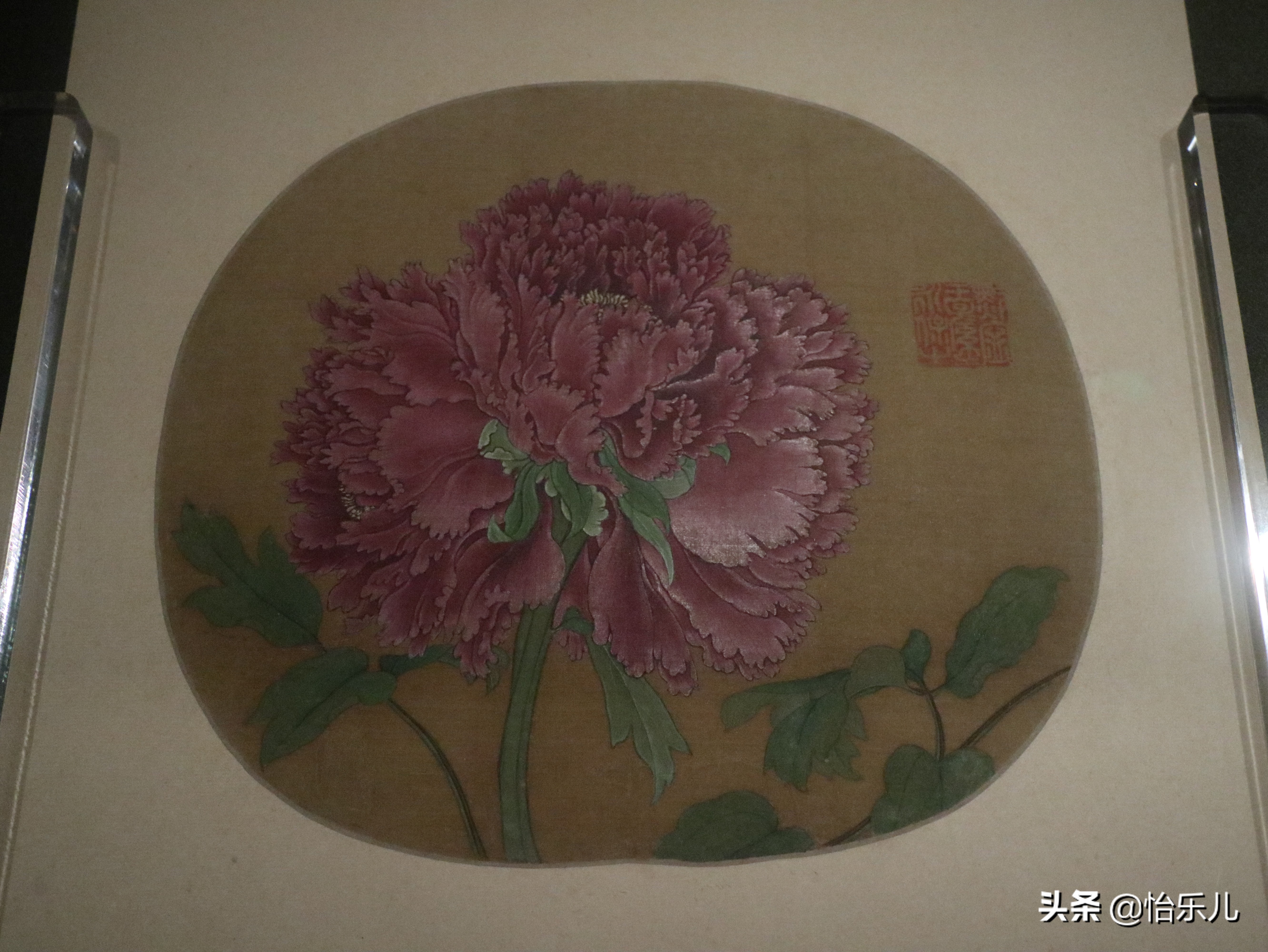 结婚证上印的这朵花不简单，被雍正称为“人间第一花”