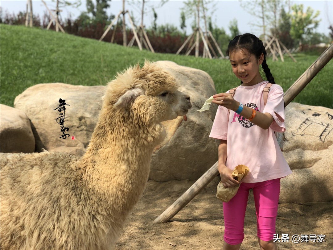 家长说艺考｜我的女儿考上了北舞附中