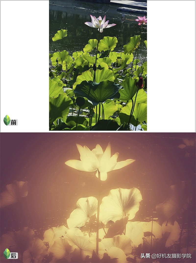 提升社交形象、玩转微商、参加摄影赛，这种手机修片技能将成主流