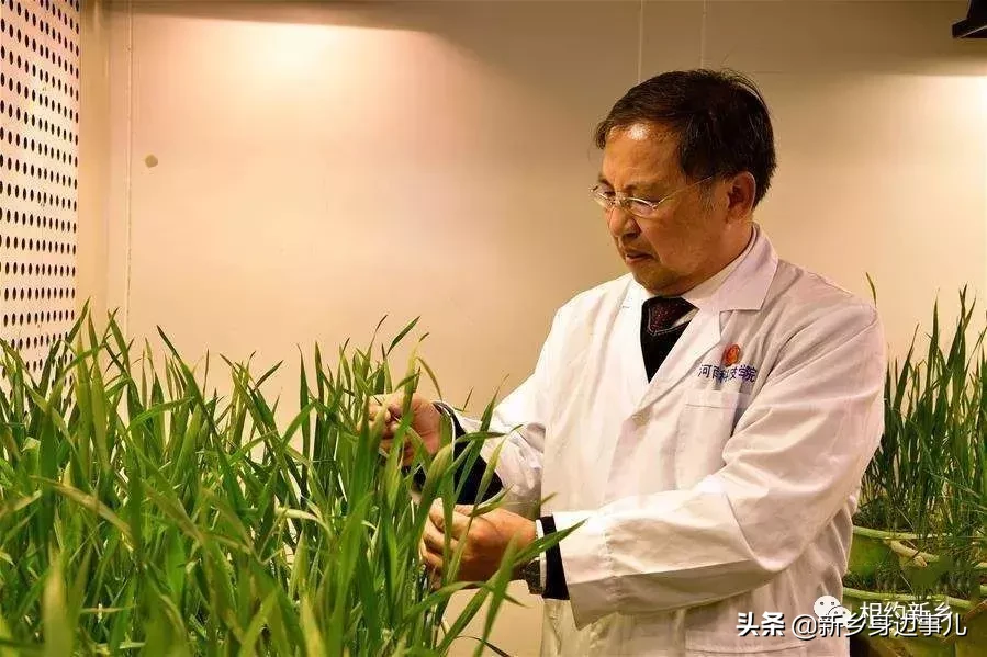 这里是河南科技学院！