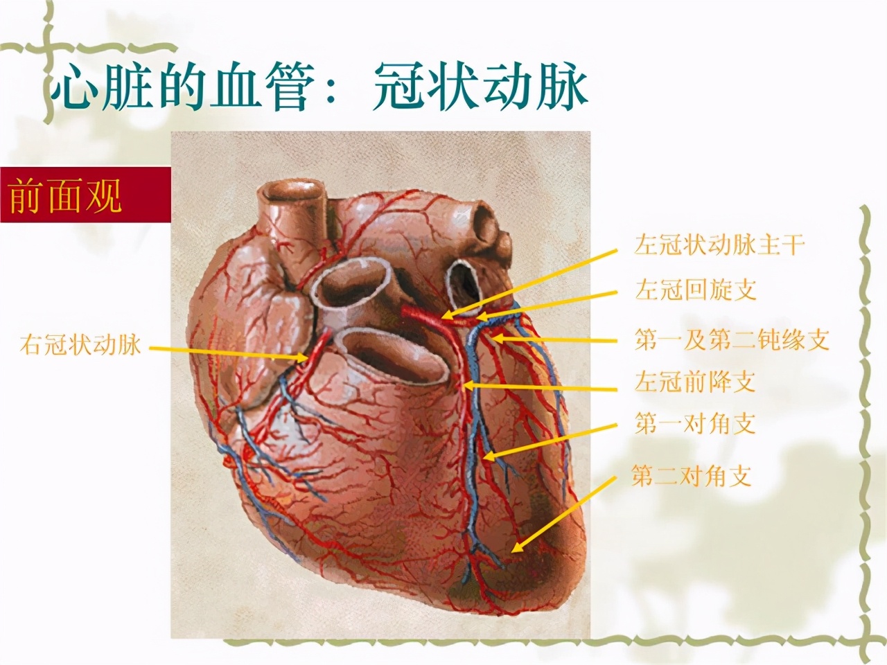 冠脉CT造影检查是怎样做的？对身体会造成什么影响？