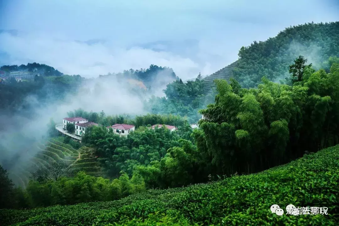 新罗区十大景点介绍,你知道几个?