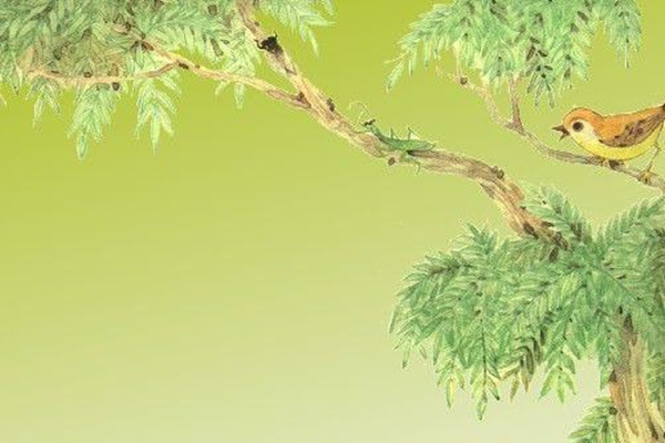 经典哲理：智慧源于内心，莫被表象所迷惑，人生福祸多源于此