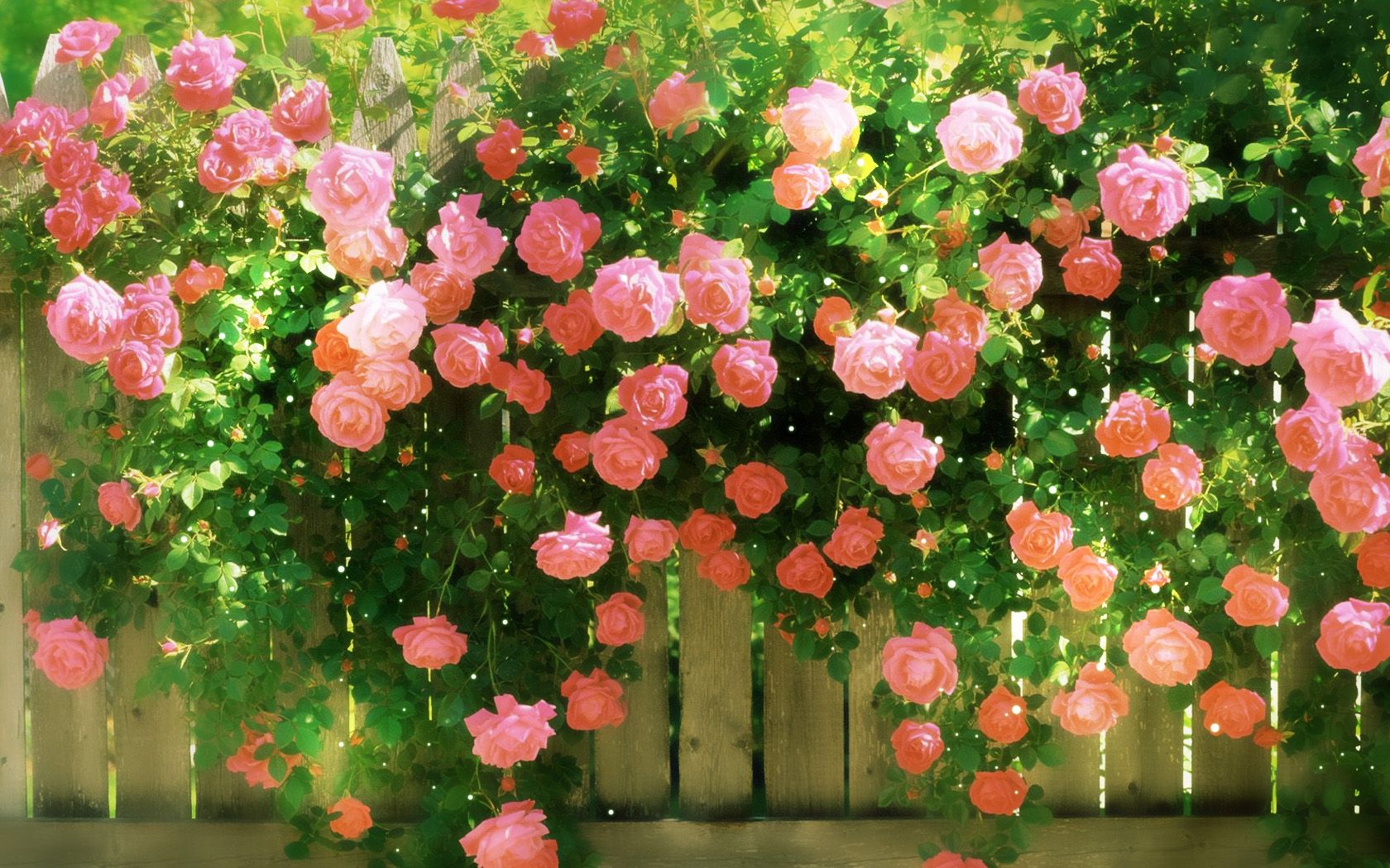 拥有安静的生活环境,一片属于自己的花园,青山绿水和新鲜空气成了现代