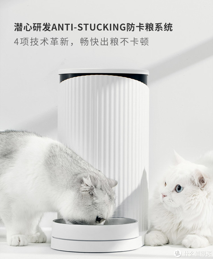 新手养猫指南——养猫一年我花了多少钱？看完我震惊了