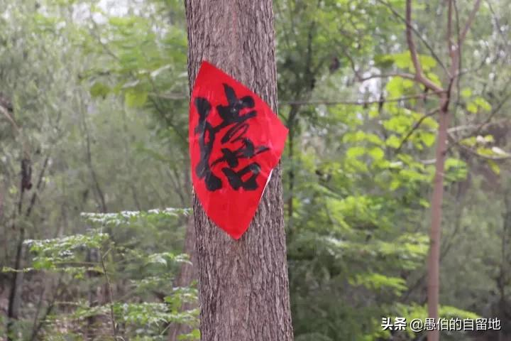 纪实：儿子结婚，我负债15万——一个农村家庭操办婚礼的全程手记