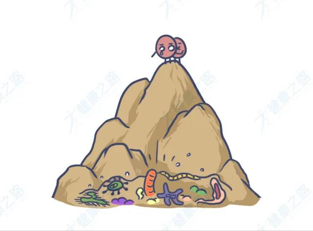 女人下面又肿又痛，可能是得了前庭大腺炎，这2个行为要注意