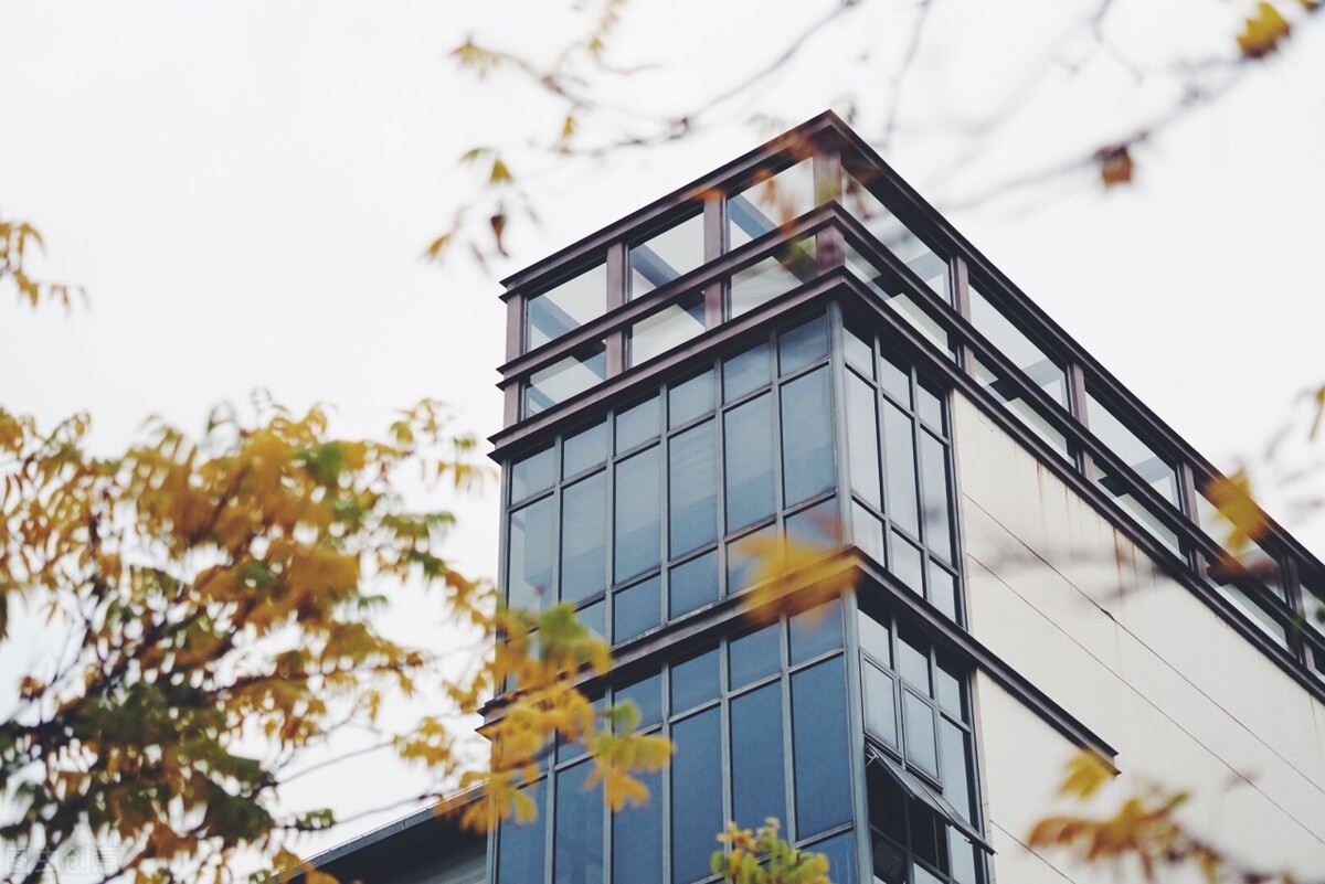 文科生学这四类专业，未来前景好发展空间大，高低分都能选