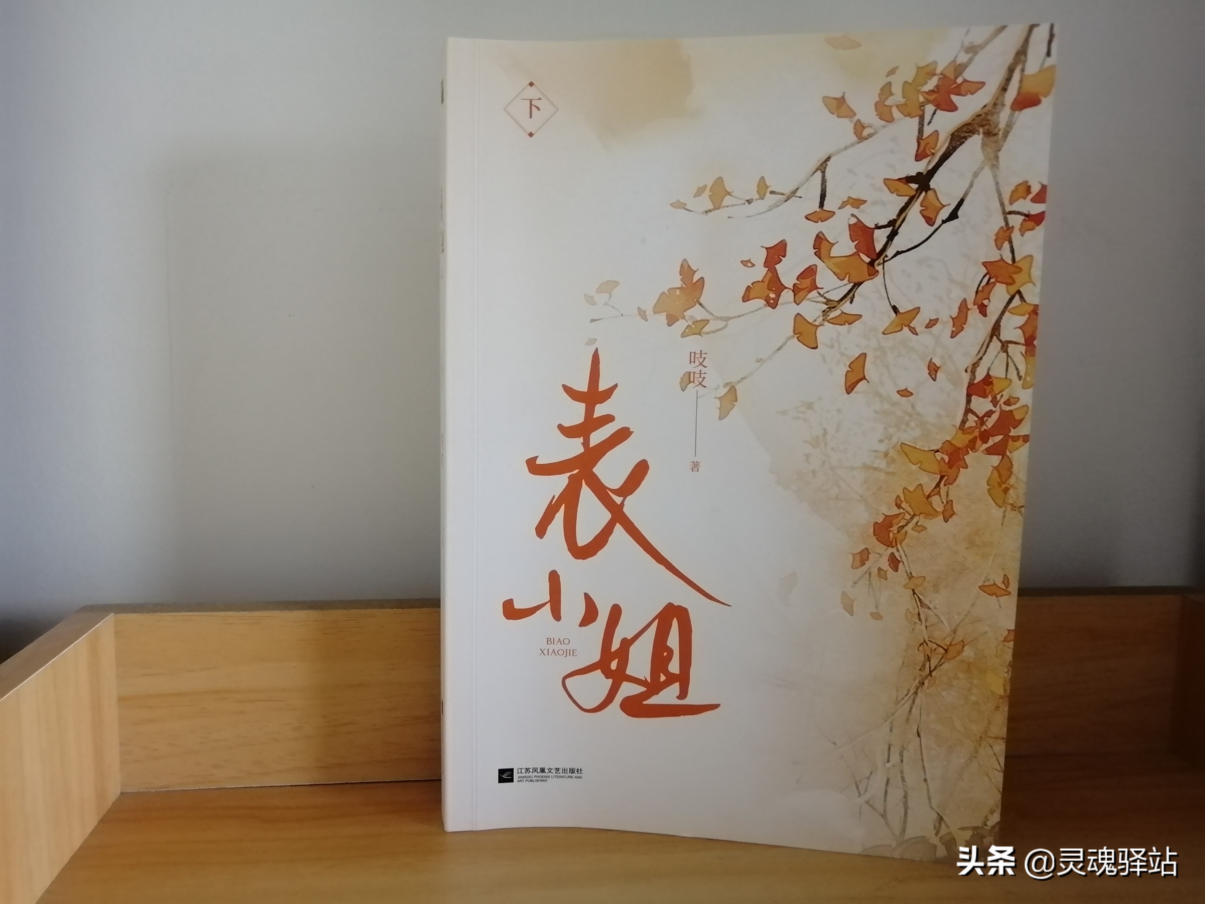 《表小姐》——世间最温暖的事莫过于你寂寥时有惦念你的人