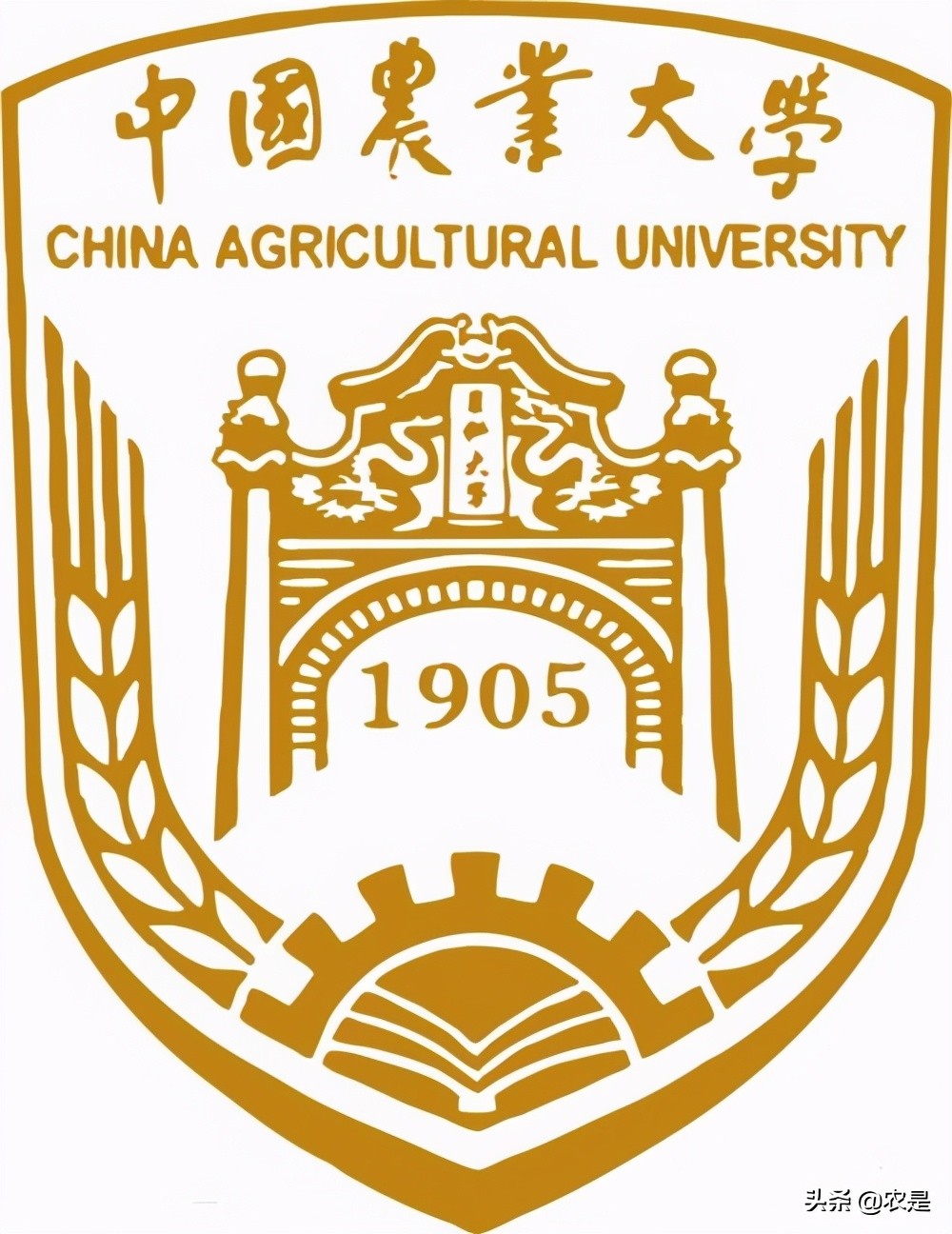 张微（女），中国农业大学教授、博导，反刍动物营养与饲料专家