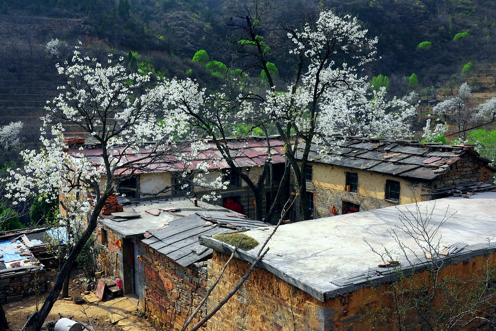 赏一场花宴，踏一方青翠，沉醉于太行山巅的世外桃源