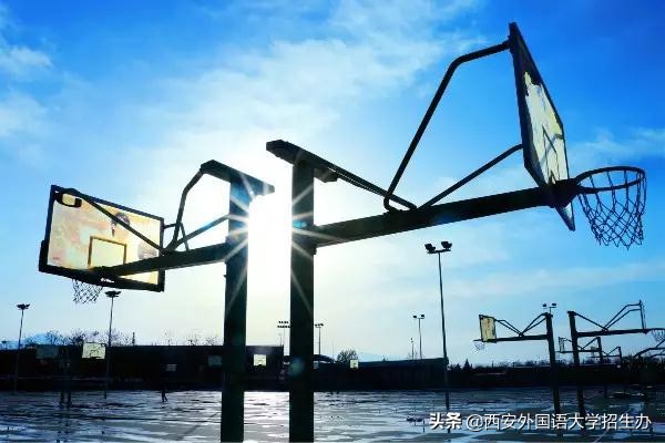 到底啥是佩奇？西安外国语大学这样回答