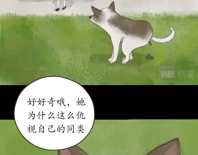 人性漫画：冷酷的女孩