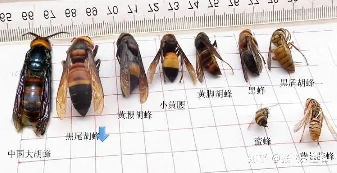 3岁女童擦伤却被截肢！只因家长这样包扎……