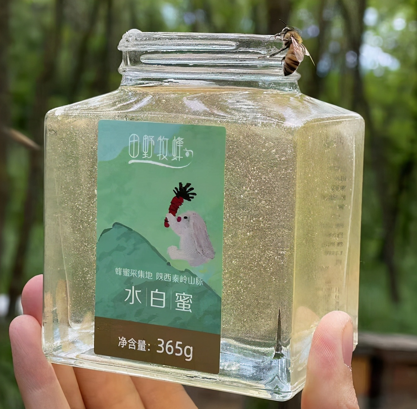 蜂蜜什么牌子的比较正宗（最好最纯正的蜂蜜牌子推荐）