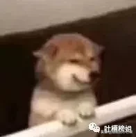 第一次接吻是什么感觉？这也太甜了吧