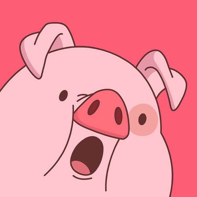 笨蛋日语怎么说（关于骂人的日语读音分享）