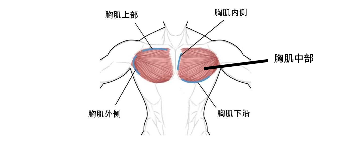 5种俯卧撑，让女生练出饱满挺翘的胸部，男生练出结实有型的胸肌