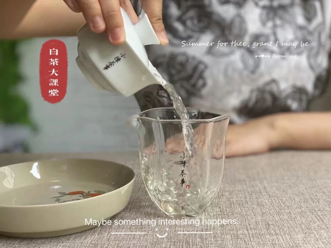 为什么说，白瓷盖碗才是最实用的茶具？3点道出精髓