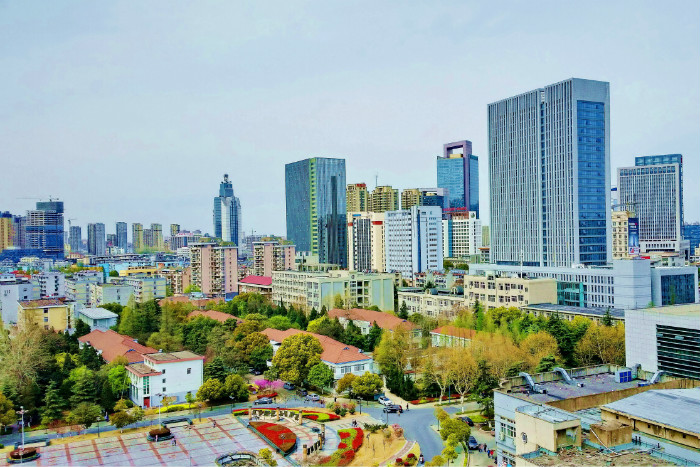 2022高考：安徽医科大学2021年在各招生省市的专业录取分数线