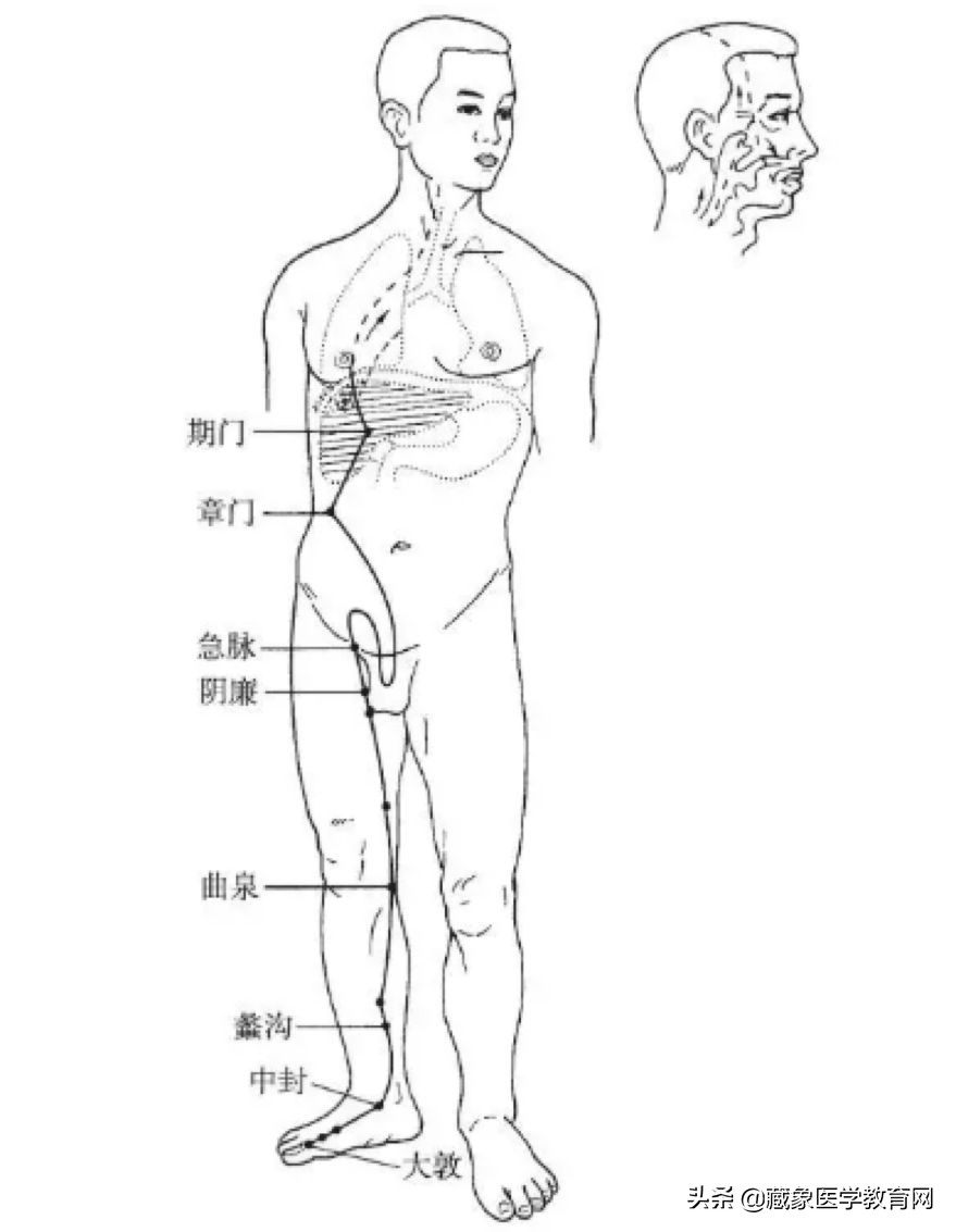 你了解经脉吗？十二经脉的位置、走向规律、交接规律及分布规律