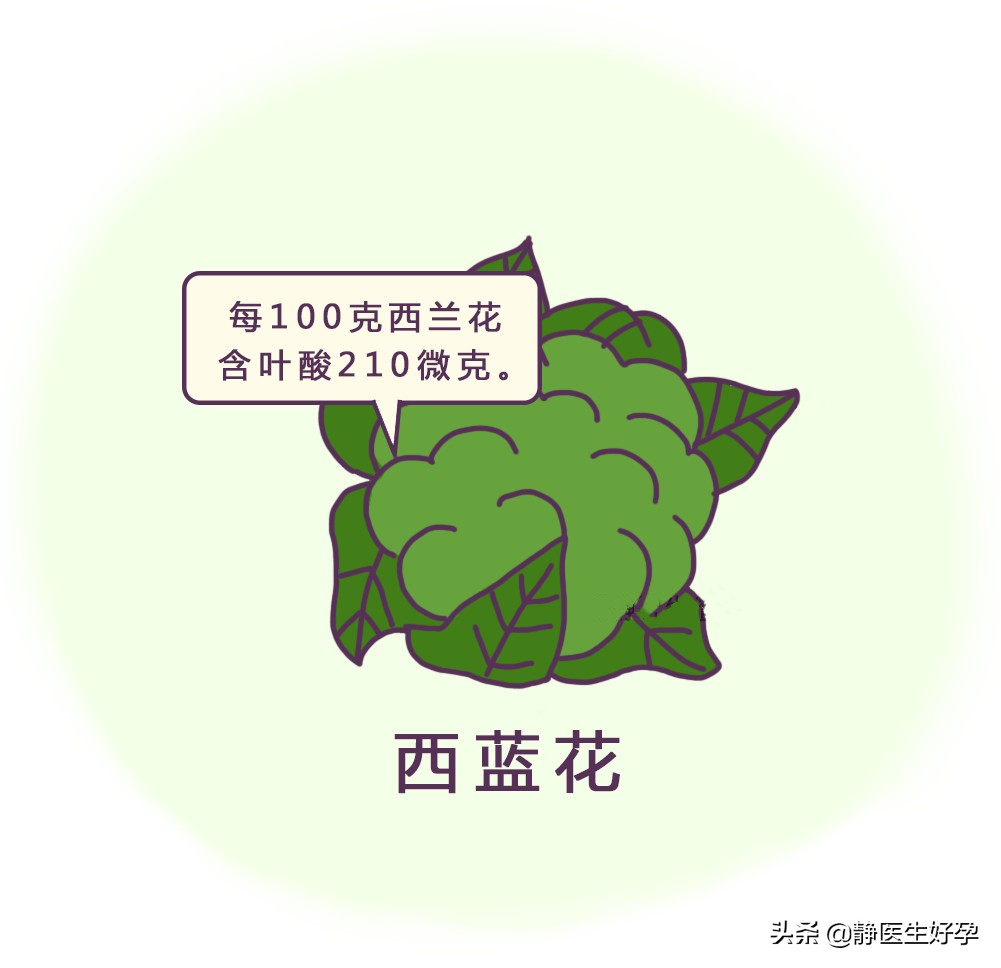 强力推荐这10种堪称“天然叶酸片”的食物
