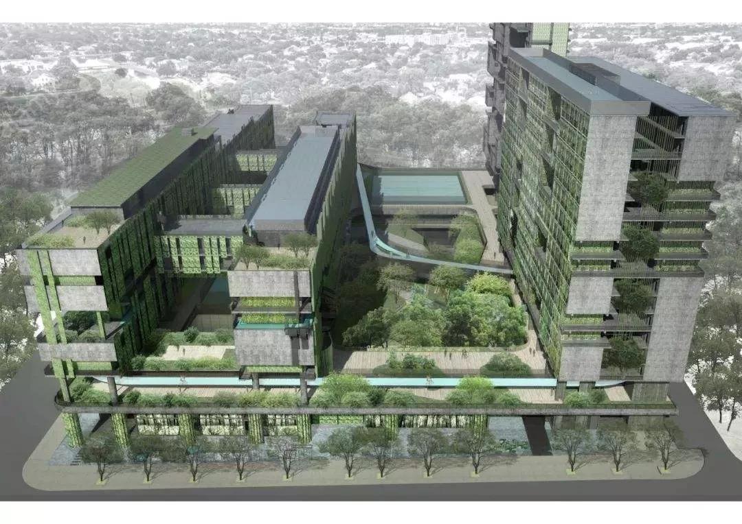 报考城绿的家长看过来：有关城绿的10条常见问题解答