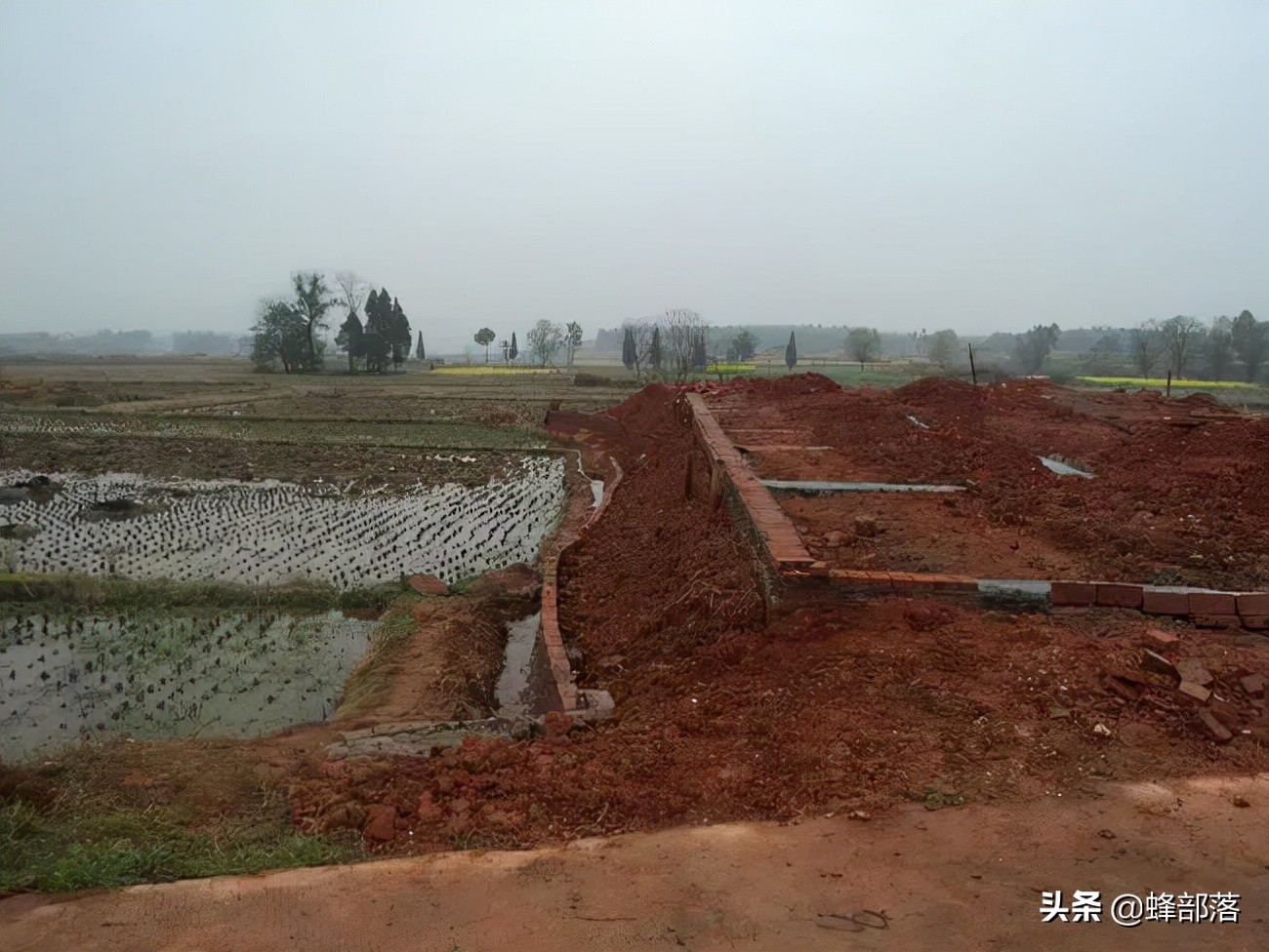 农村耕地建房涉及违建，已经在耕地上建好的房子，会强制拆除吗？