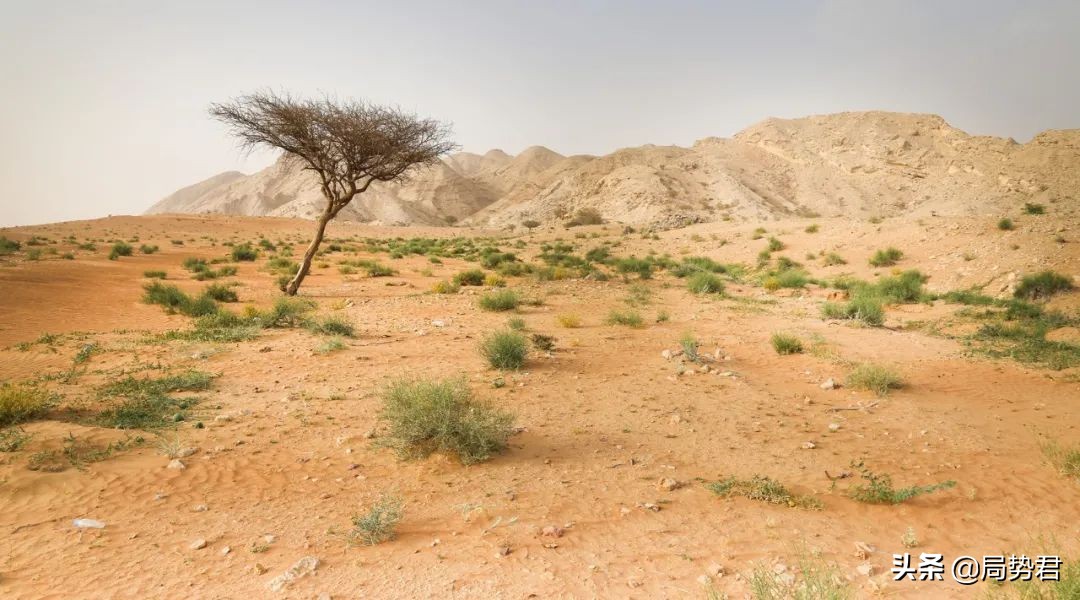 世界第一大沙漠在哪里（排名世界前十名的大沙漠）