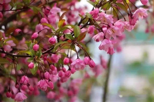 天津大学2017-2019年硕士研究生入学考试初试进入复试基本分数