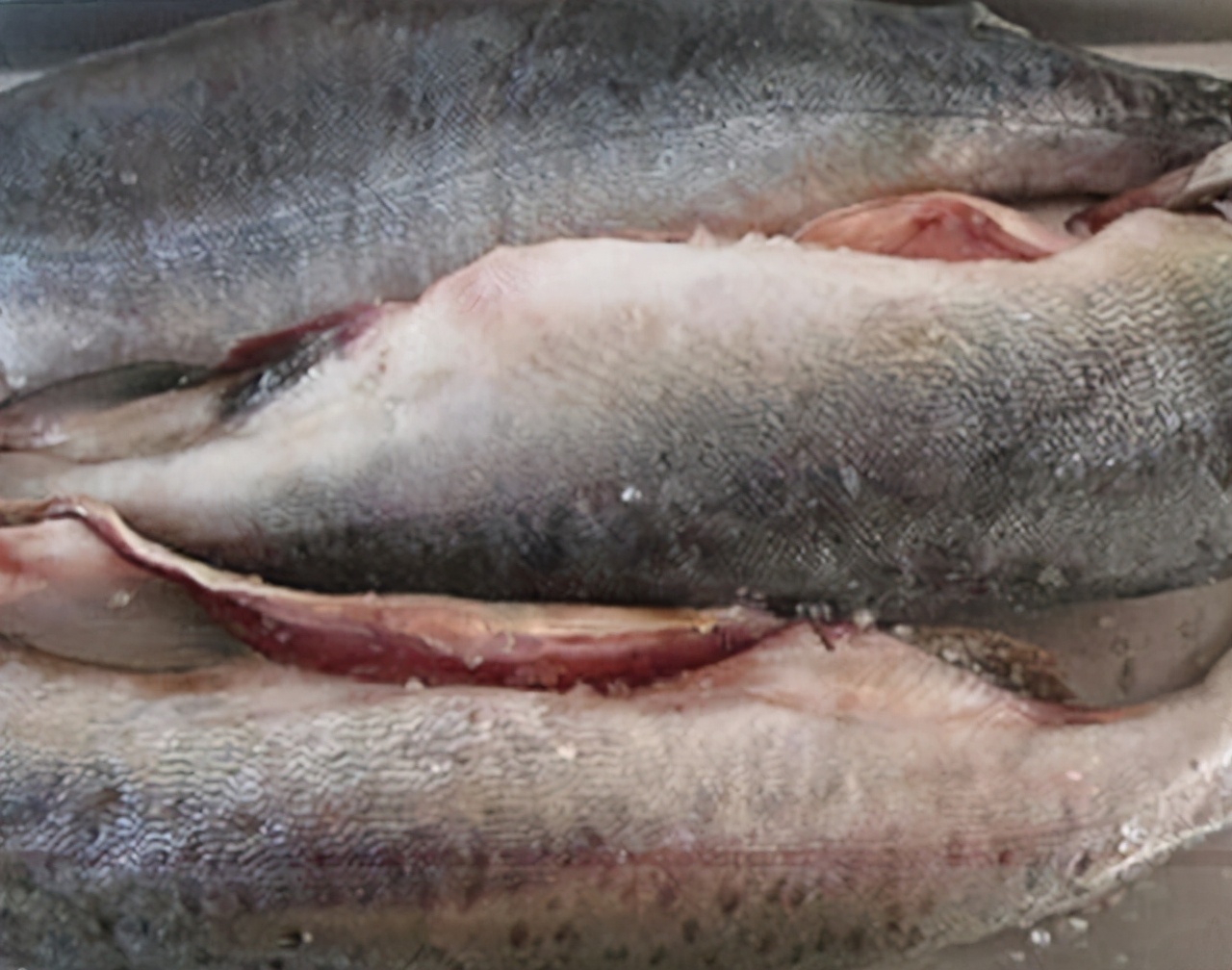 牢记这“5要点”，腌出的腊鱼经久耐放，肉质紧实香味十足