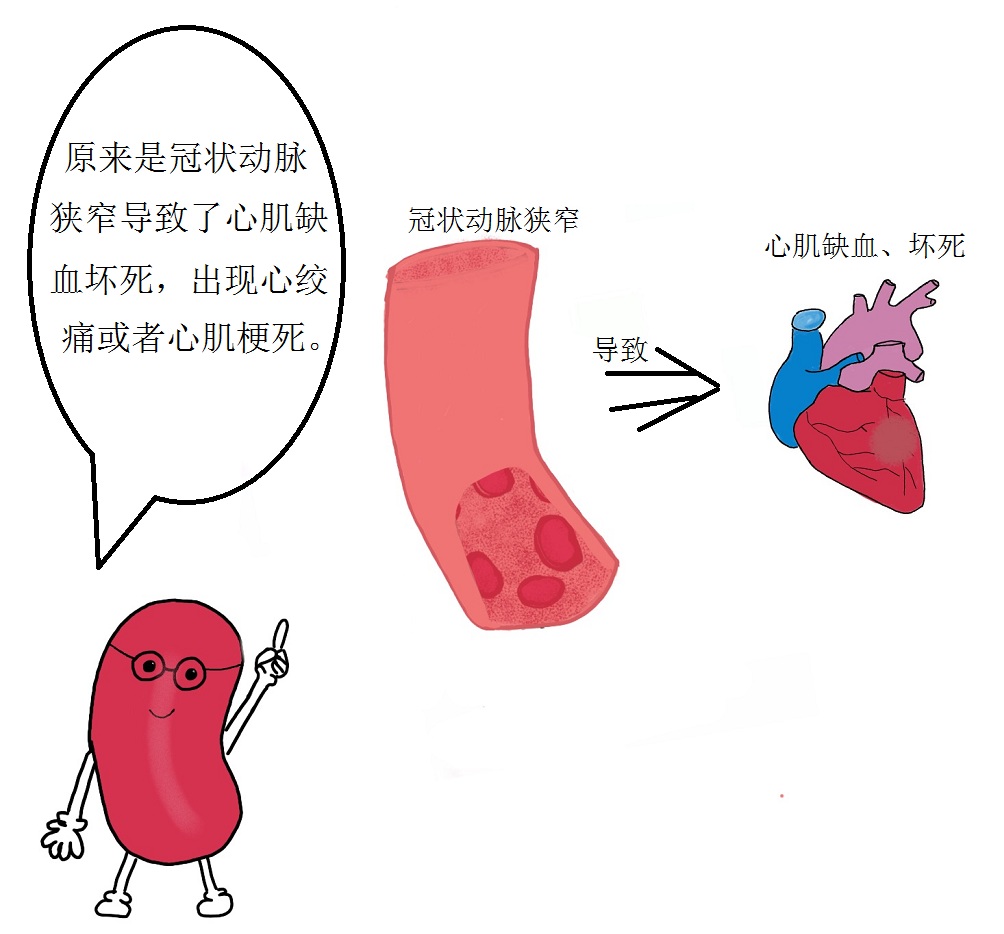微观视角带您走进“心世界”——来自红细胞的自述