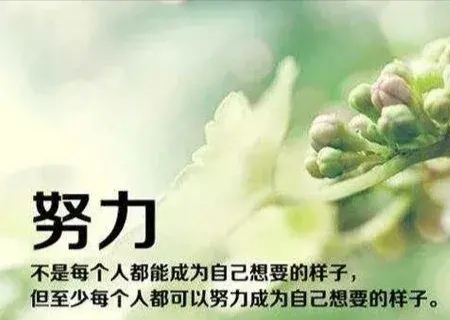 潇洒岁月：老年童心才是长寿的秘码