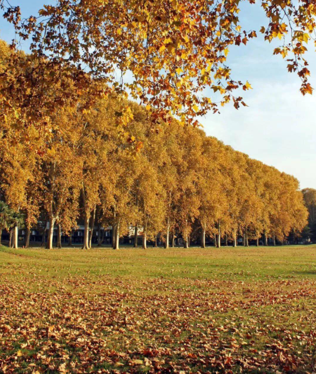 郑州这10个绝佳赏秋地，风景绝美，很多地方都还免费