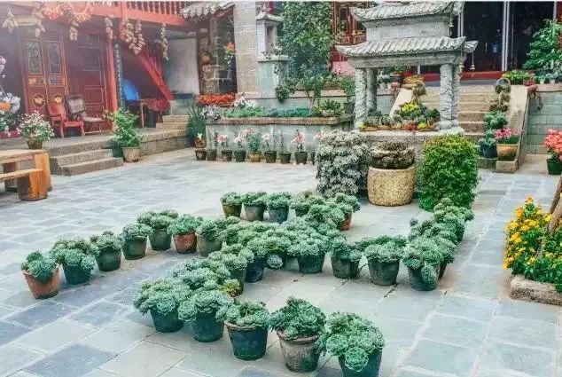 中国最文艺尼姑庵，不烧香只种花，美得想出家！韩红也慕名来参访