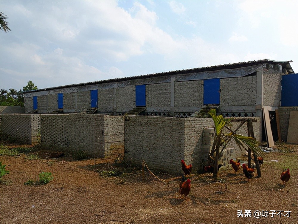 农村养羊,比较常见的几种羊圈,都是实景图