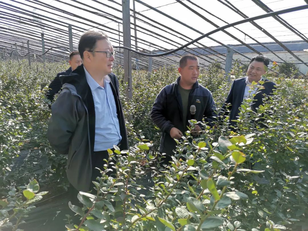 农业农村部科教司调研组到我市调研乡村振兴工作