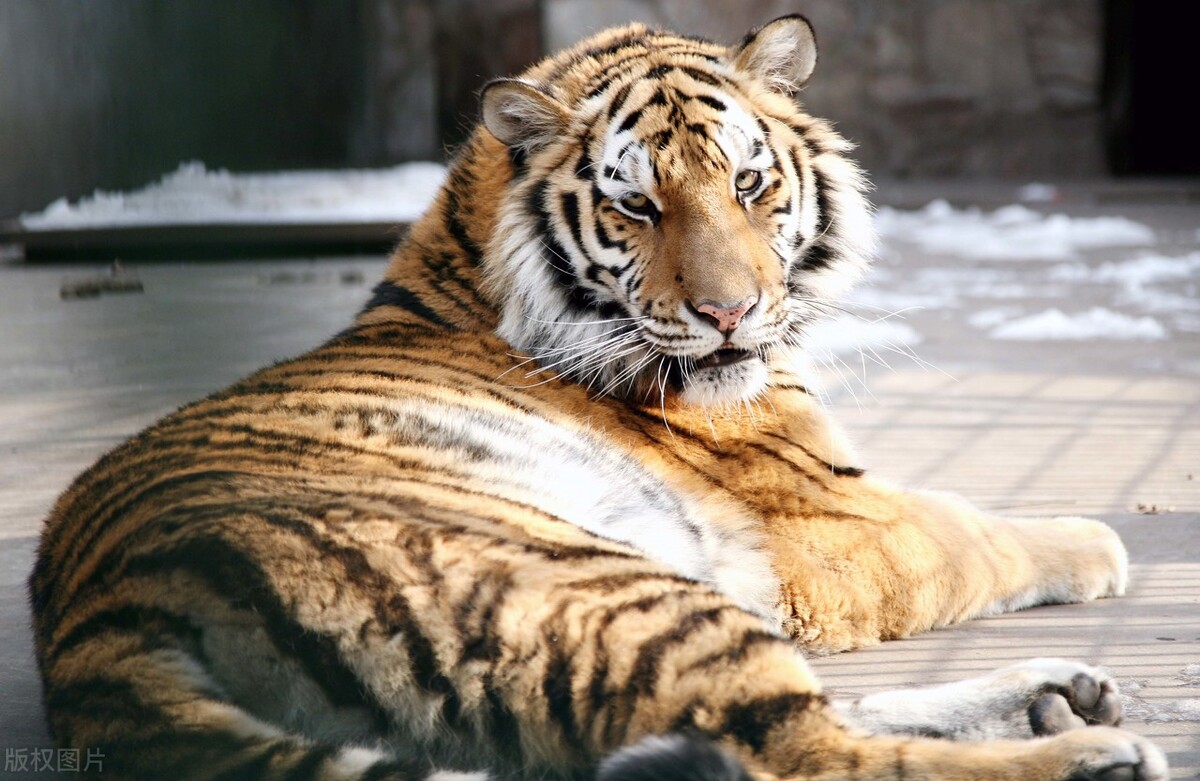 常识积累：容易误用感情色彩的成语之贬义成语（第一辑）