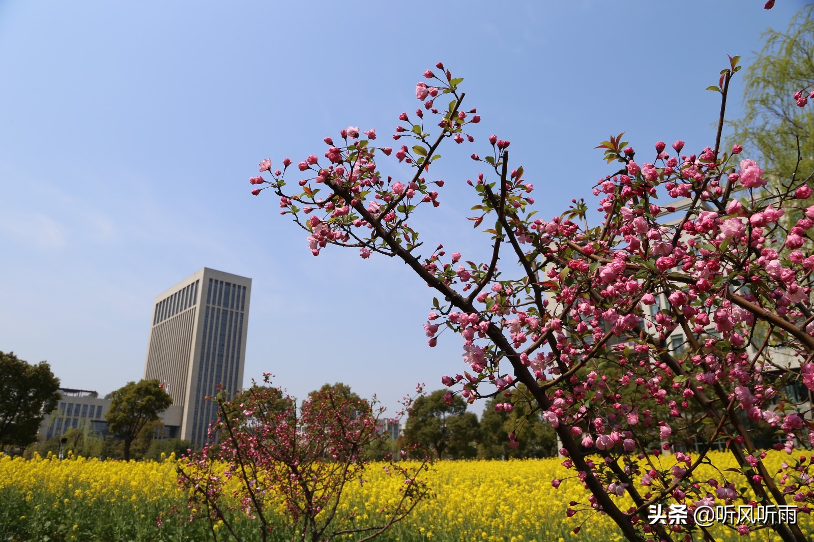 浙江曾经有17所老牌专科学校，如今全部成功“变身”