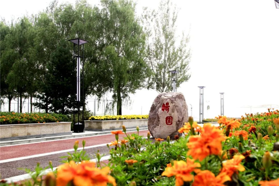 新区高校集结 | 网络铸魂 数字德育，走进黑龙江财经学院！