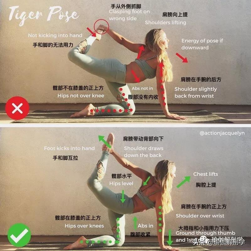 28个常见瑜伽体式“正误对比”图，初学者尤其要注意！（收藏级）