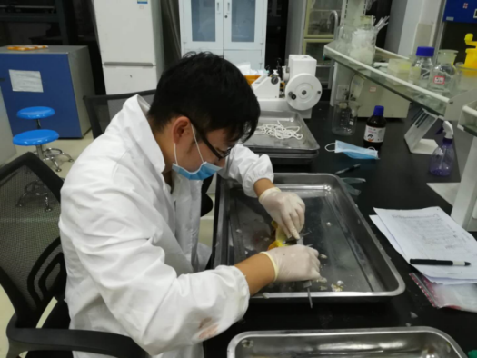 你还是从前那个少年！贵大60后到00后的青春故事