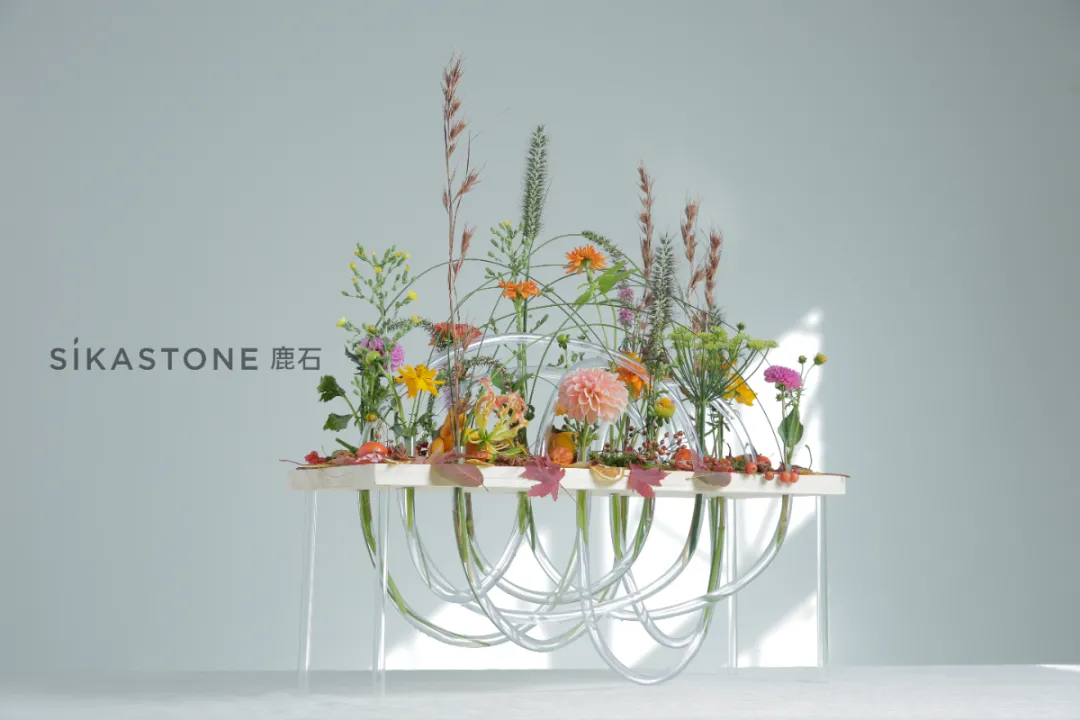 「Stef Adriaenssens」当代花艺架构设计大师课