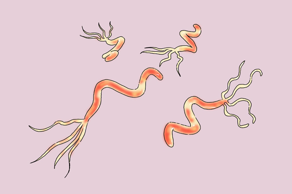 喝茶可以长寿？还可以降低患病的风险？科学吗？