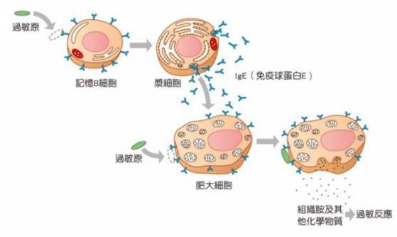 食物过敏严重可致死，但各种过敏原检测真的靠谱吗？能预防吗？