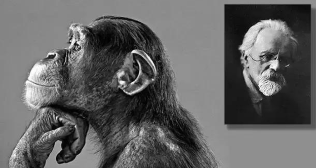 疯狂的科学家让5名女性接受人猿杂交实验，之后培养了猿人吗。